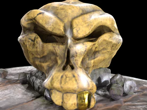 Stylized magic skulls 3D Model