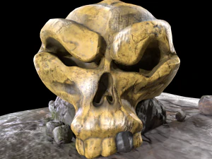 Stylized magic skulls 3D Model
