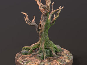 Old Tree 3D Модель