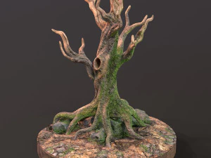 Old Tree 3D Model