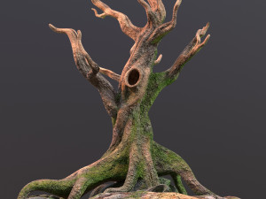 Old Tree 3D Модель