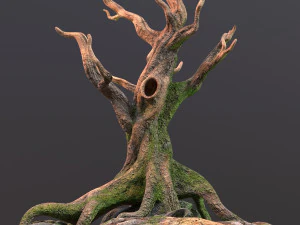 Old Tree 3D Model