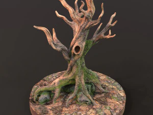 Old Tree 3D Model
