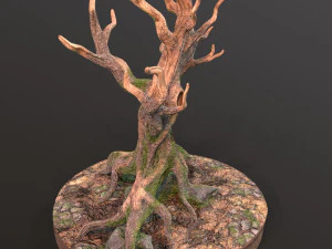 Old Tree 3D Model