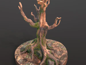 Old Tree 3D Model