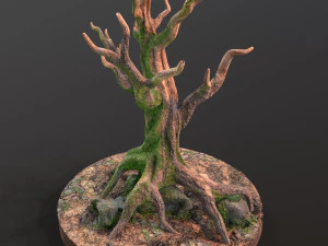 Old Tree 3D Model