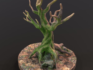 Old Tree 3D Модель