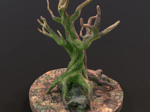 Old Tree 3D Model