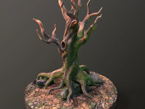 Old Tree 3D Model