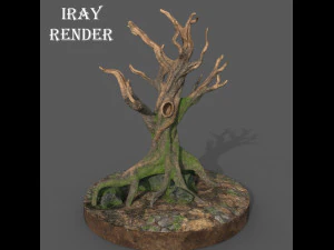Old Tree 3D Model