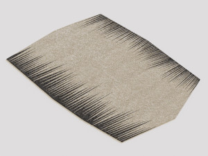 peigne 2 rug Modelo 3D