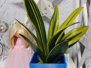 flowerpot crazy flower grower 3D Print Model