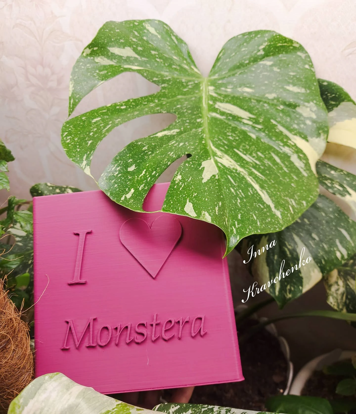flowerpot monsteramonday 3D Print Model .c4d .max .obj .3ds .fbx .stl .blend 