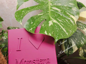 vaso di fiori mostro luned&igrave; Modello di stampa 3D