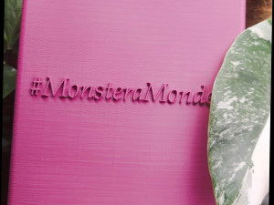 flowerpot monsteramonday 3D 打印模型