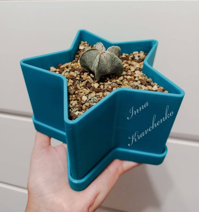flowerpot star 3D Print Model .c4d .max .obj .3ds .fbx .stl .blend 