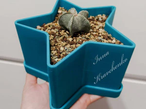 flowerpot star 3D Print Model