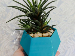 植木鉢の幾何学的なボディ 3Dプリントモデル