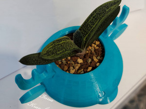 flowerpot deer Modèles 3D en vedette