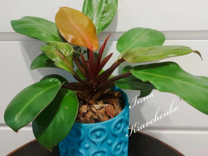 patterned flowerpot 3D Print Model