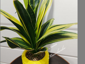 flowerpot wave forms 3D Print Model