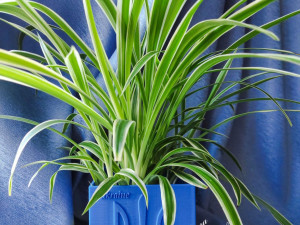 Flowerpot Ukraine 3D Print Model