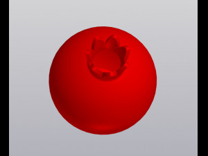 Vase Pomegranate 3D Baskı Modeli
