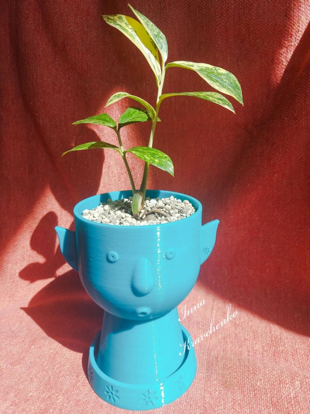 Flower Elf Planter 3D Принт Модель .c4d .max .obj .3ds .fbx .stl .blend 
