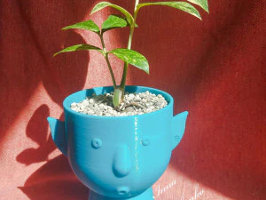 Macetero de elfo de flores Modelo de impresión 3D