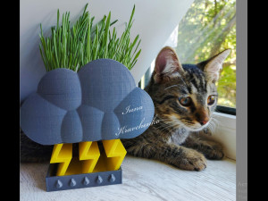 Thunder cloud planter 3D Print Model