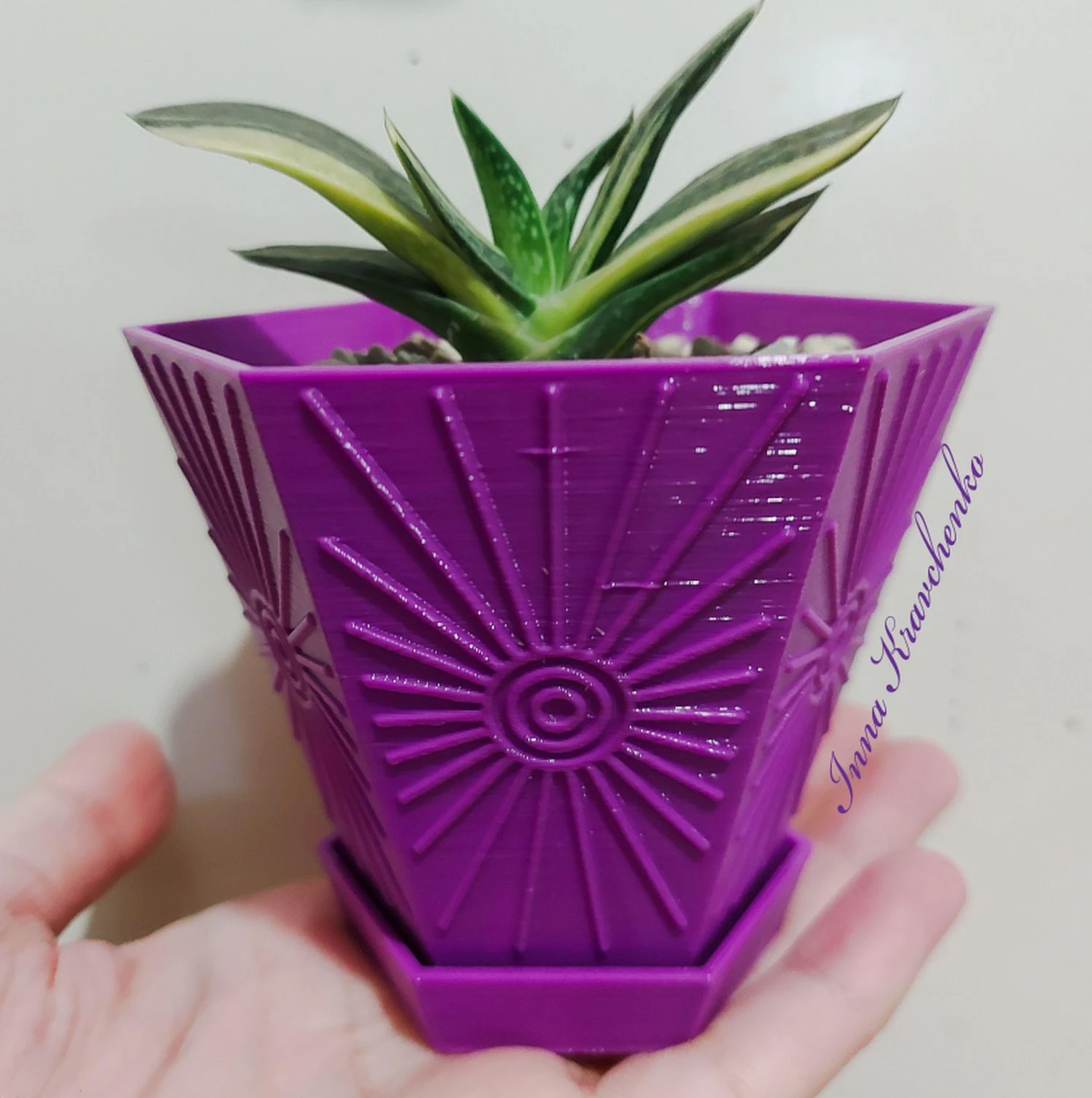 Spring sun planter 3D Print Model .c4d .max .obj .3ds .fbx .stl .blend