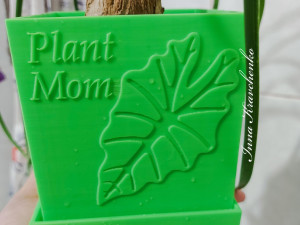 Plant Mom planter Modelo de impresión 3D