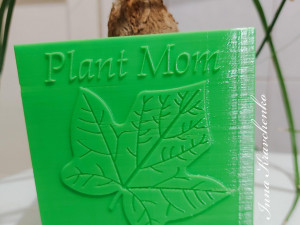 Plant Mom planter Modelo de impresión 3D