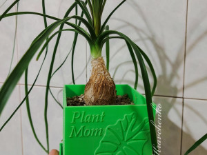 Plant Mom planter Modelo de impresión 3D