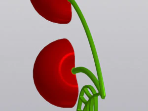 Cherry Wall decor 3D Print Model