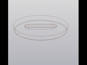 Hoya Kerrii Valentines Day gift 3D Принт Модель
