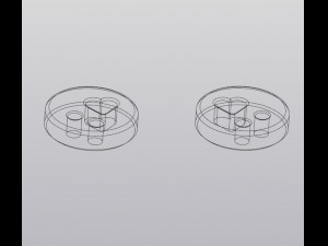 Hoya Kerrii Valentines Day gift 3D Принт Модель