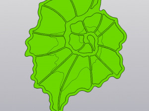 Begonia leaf up coaster 3D Baskı Modeli