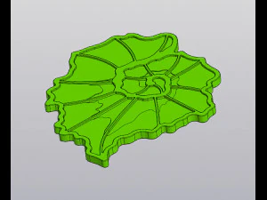 Begonia leaf up coaster 3D Print Model