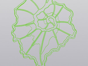 Begonia leaf up coaster 3D Принт Модель