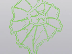 Begonia leaf up coaster 3D Print Model