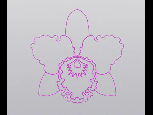 Orchid Cup coaster 3D Print Model