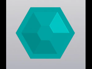 Sechseck-Organizer 3D Druckmodell