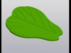 Ficus Lyrata leaf Cup coaster 3D Print Model