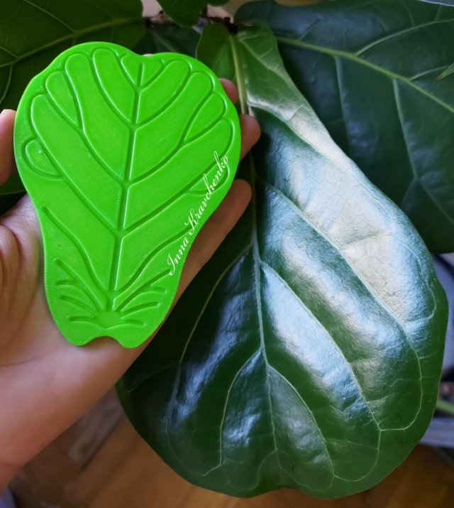 Ficus Lyrata leaf Cup coaster 3D-Druckmodell .c4d .max .obj .3ds .fbx .stl .blend 