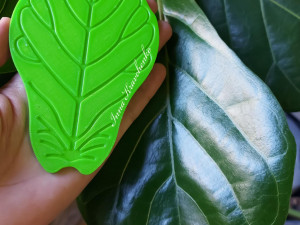 Ficus Lyrata leaf Cup coaster Modelo de impresión 3D