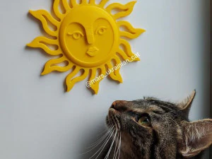 Hanging planter and Wall decor Sun with face 3D Print Model