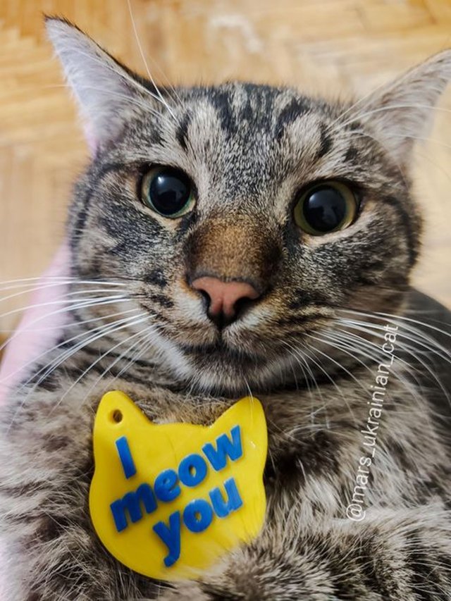 I meow you Keychain 3D Print Model .c4d .max .obj .3ds .fbx .stl .blend 