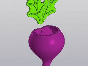 Radish Wall Hanging Vase for dried and artificial flowers Modèles 3D en vedette