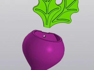 Radijs Wandvaas voor gedroogde en kunstbloemen 3D printmodel